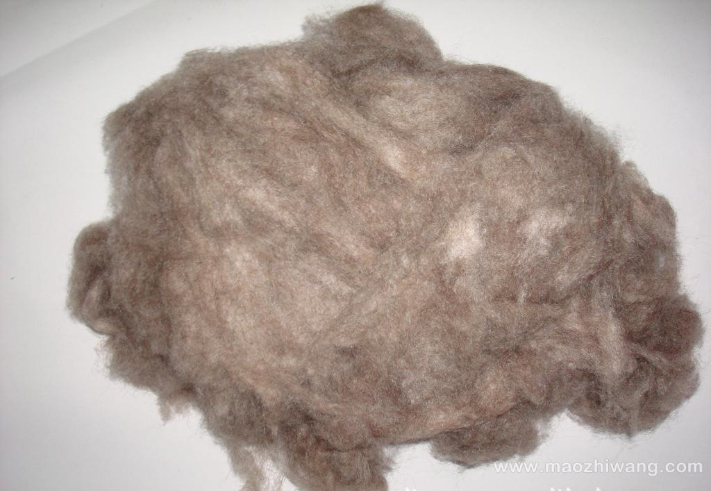 山羊绒 中国毛纺织行业协会会长黄淑媛说,从洁白度,纤维长度和